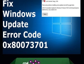 Error 0x80073701