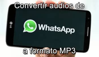 Cómo Convertir Un Audio De WhatsApp En MP3