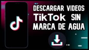 Cómo Descargar Videos De Tik Tok Sin Marca De Agua