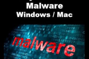 Los 8 Mejores AntiMalware Para Windows o MacOS