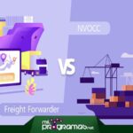 Importación Y Exportación: Diferencia Entre NVOCC Y Freight Forwarder