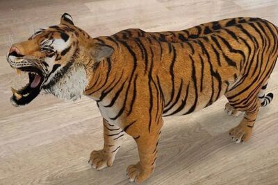 Ver En Tu Espacio No Funciona