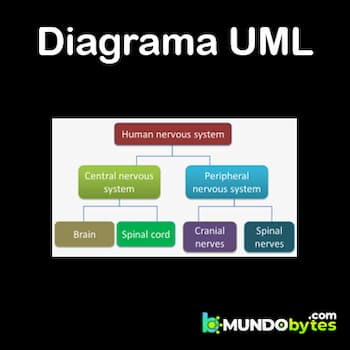 Diagramas UML | Qué Son, Tipos, Usos y Cómo Hacerlos