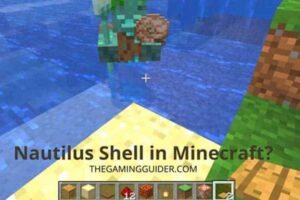 Cómo Conseguir Conchas De Nautilus Minecraft