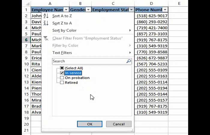 Uso de filtros para ocultar filas en Excel