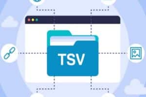 Qué Es Un Archivo TSV Y Cómo Abrir Uno
