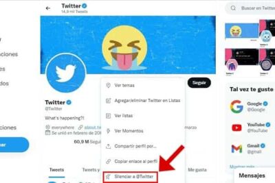 Cómo Saber Si Te Han Silenciado En Twitter