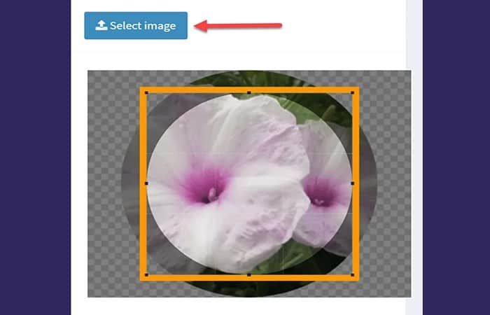 haz clic en la opción 'Seleccionar imagen'