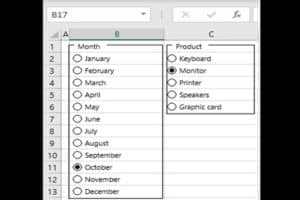 Agregar Y Agrupar Un Botón De Opción En Excel