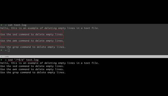 Eliminar archivos vacíos en Linux