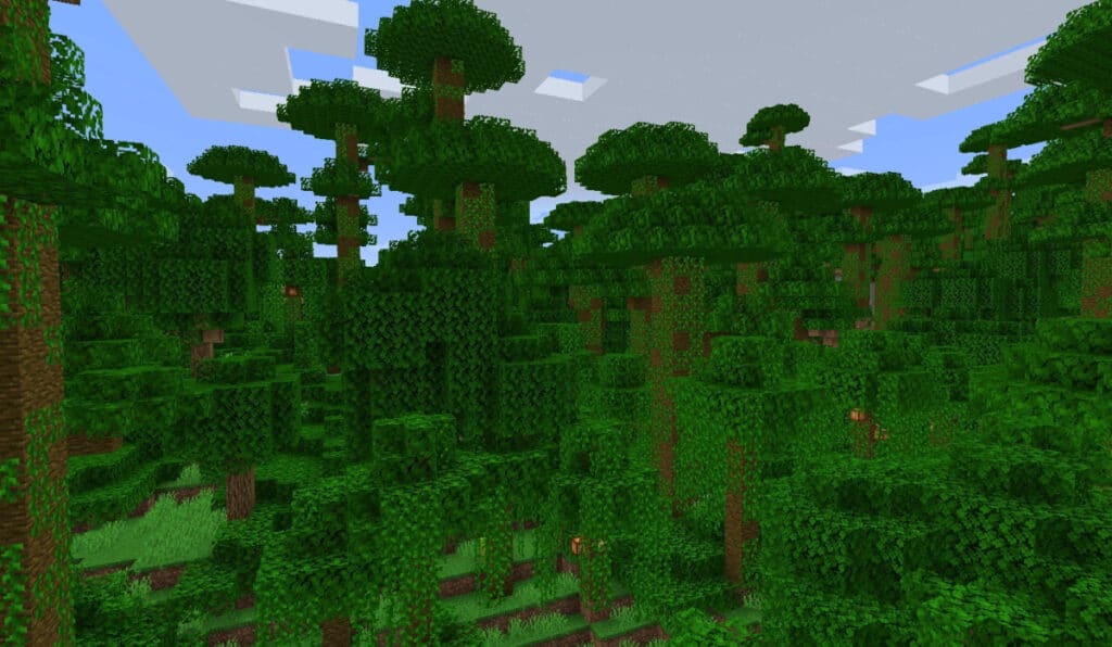 Minecraft Infinite Jungle 