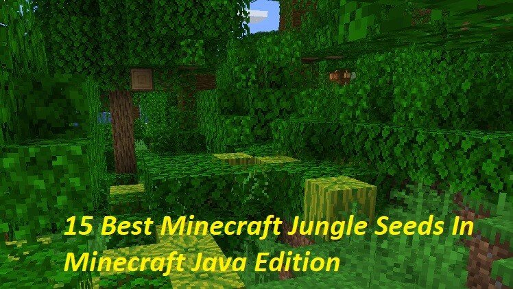 15 Best Minecraft Jungle Seeds In Minecraft Java Edition 