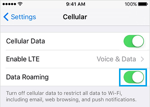 Enable Cellular Data and Data Roaming on iPhone