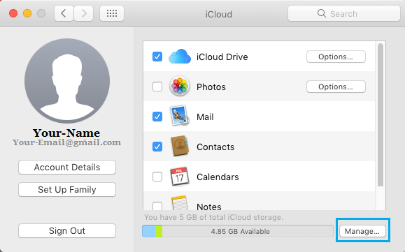 Manage iCloud Storage Option on Mac