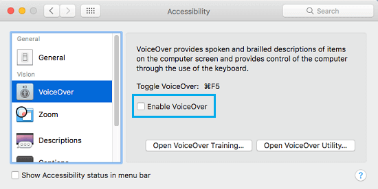 Disable VoiceOver on Accessibility Screen of Mac