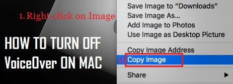 Copy Photo to Note on Mac From Internet or Desktop