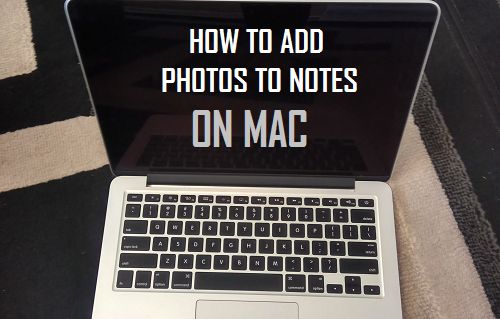 How one can Add Photographs to Notes on Mac