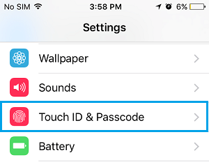 Touch ID & Passcode Option on iPhone