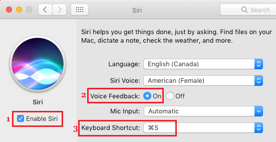 Enable Voice Feedback and Create Keyboard Shortcut for Siri on Mac