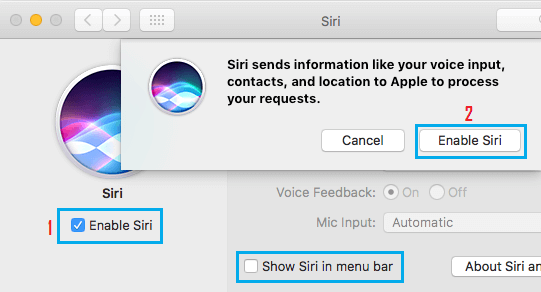 Enable Siri on Mac