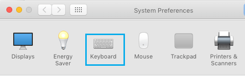 Keyboard Option in System Preferences Screen on Mac