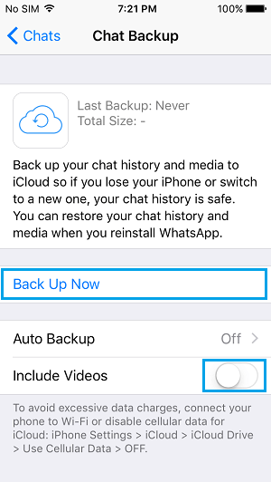 Manually Backup WhatsApp Messages On iPhone to iCloud Drive