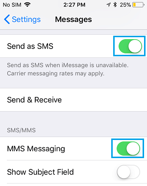 Enable MMS and SMS Messaging on iPhone