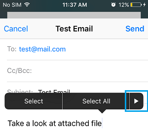 Icono de la flecha en el menú de edición de la aplicación Mail del iPhone