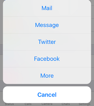 Mail, Message and Other Options to Invite People to WhatsApp On iPhone