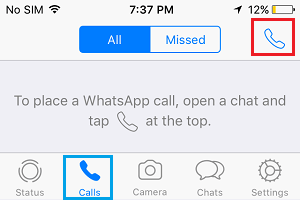 WhatsApp Calls Option on iPhone 