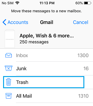 Multiple Email Messages Selected on iPhone