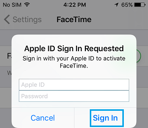 Sign In With Apple ID to Activate FaceTime On iPhone