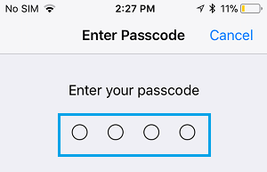 Enter Lock Screen Passcode on iPhone