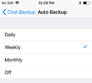 WhatsApp Auto Backup Options on iPhone