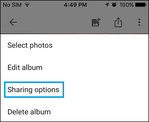 Sharing Options Tab in Google Photos 