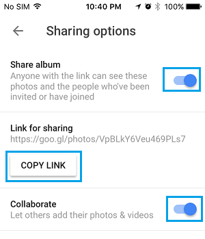 Sharing Options Screen in Google Photos App