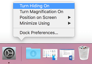 Turn Hiding On Option on Mac