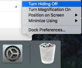 Turn Dock Hiding Off Option on Mac