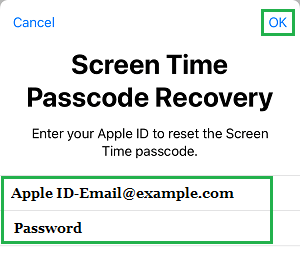 Enter Apple ID and Passcode to Reset Screen Time Passcode