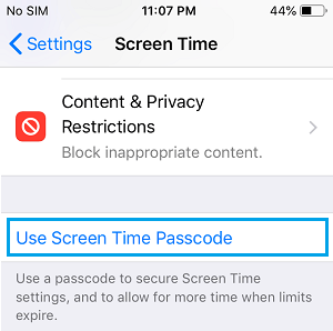 Use Screen Time Passcode Option on iPhone