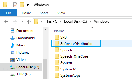 SoftwareDistribution Folder in Windows 10