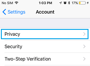 Privacy Option in WhatsApp Account Screen on iPhone