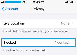 Blocked Option in WhatsApp on iPhone