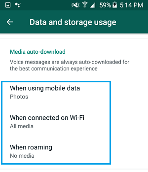 WhatsApp Media Auto Download Settings