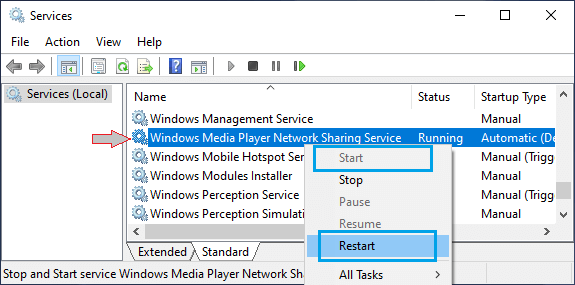 Restart Windows Media Player Service