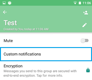 Qué es la pestaña de notificaciones personalizadas de WhatsApp para los contactos del grupo