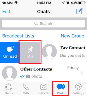 Pin Chats in WhatsApp on iPhone