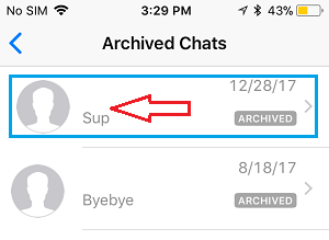 Archived Chats Screen on iPhone