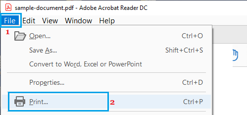 Opción de imprimir el archivo en Adobe Acrobat