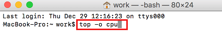 Top -o CPU Command in Terminal on Mac